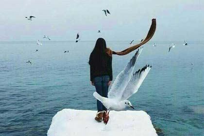 ������һ����̬