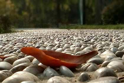 һ��·�����ҿ�����ʲô