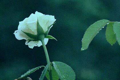 ���µ���