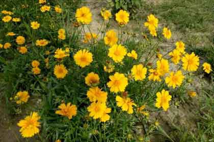 人生没有回程票