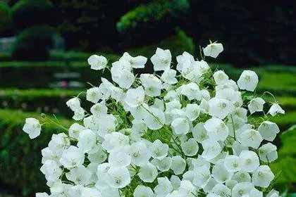 心灵的修行是生命最好的妆容