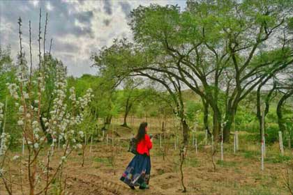 曾元永,来过就不会忘记