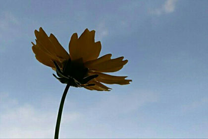 ϣ�� ��������