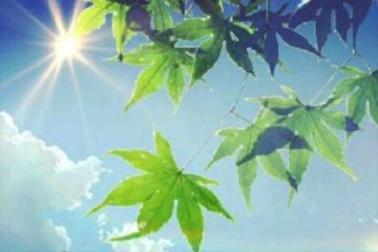 �ഺԲ����