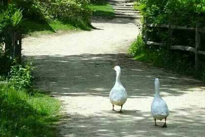 ���μ���