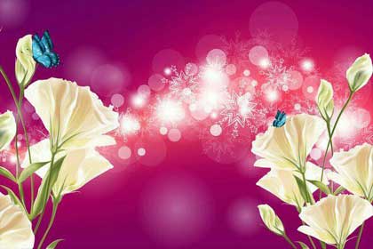 ��һ�����ϣ���һ�˰���