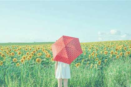 �����̻��������·���һ��