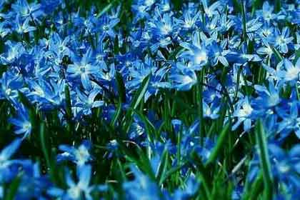 ���е��ǰѺ�ɡ