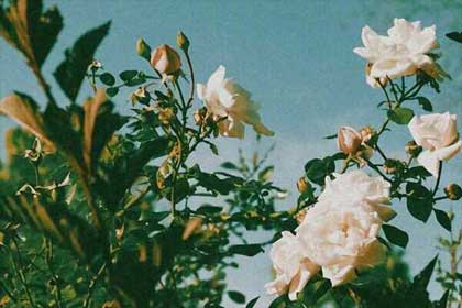 我们都在单曲循环,你会停在哪一首