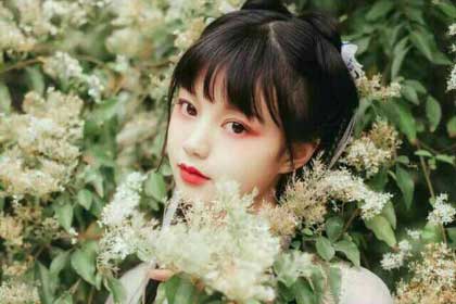 ������ʫ����������ģ��