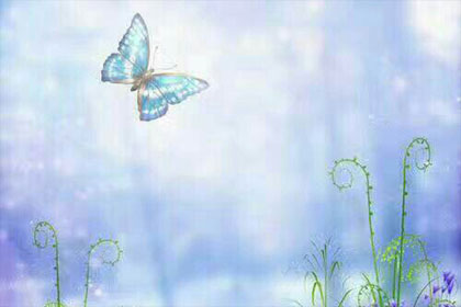 ��һ���̻�����һ���延