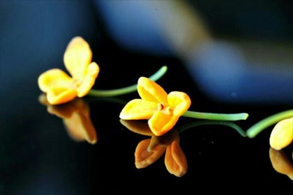 ���£���Ʈ��ļ���