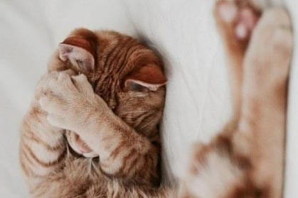��Ϊ�����Ϊѧϰ����˼������