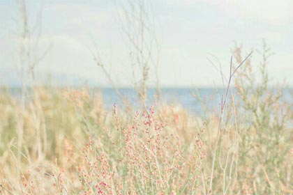 ʱ������ת���ķ�����