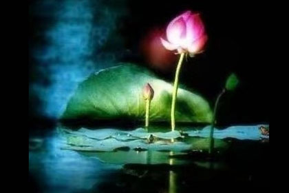 ������Ů��