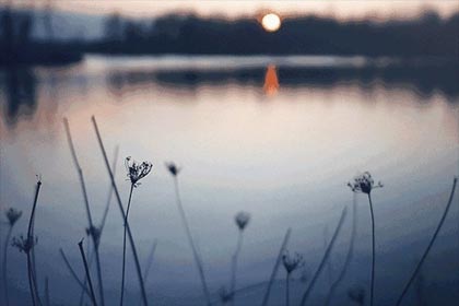 ���յ�����