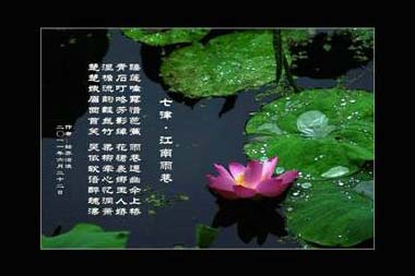 䬶���´��ţɽ��