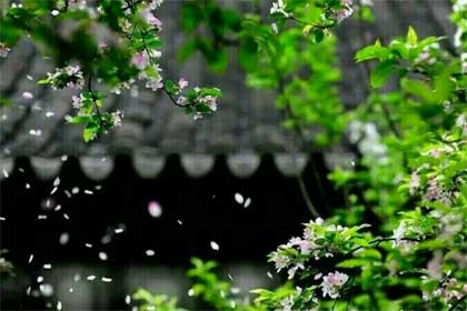 İ�ϻ������һ�������