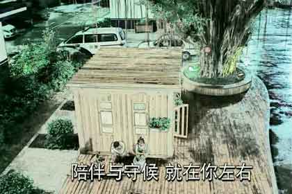 ���Ƿ������������