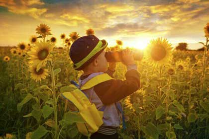 从未停息的“爱”