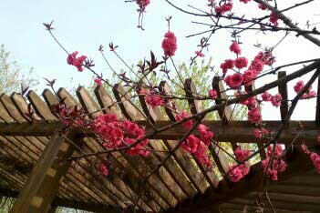 你给我的,我用另外一种方式还你