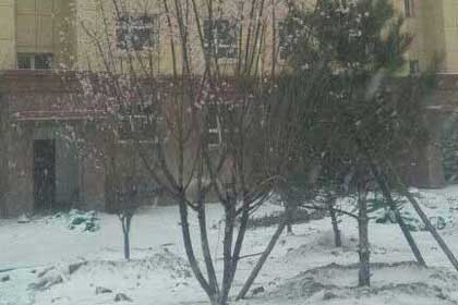 ����ֻ��÷�����������Ϻ�