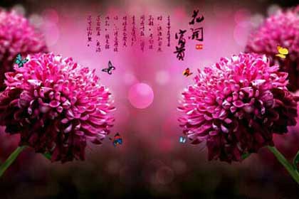 �������裬ִ��Ϊ����