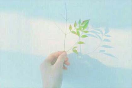 һ������