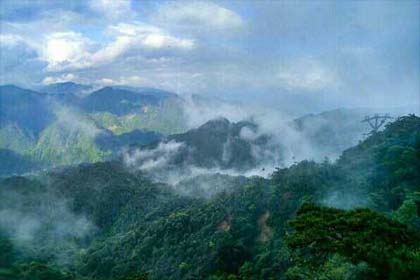 ɽ�����������кξ壿