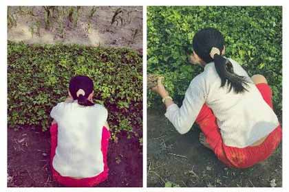 给我母亲的信件