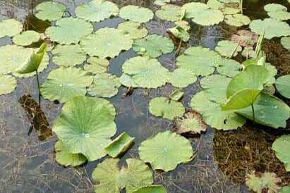 ��һ��ͨ�����ĵ�·�����ж�Զ