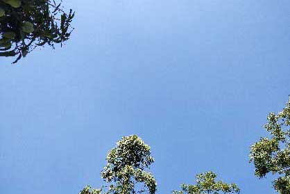 ��Ҵ�Ժ.����״.������