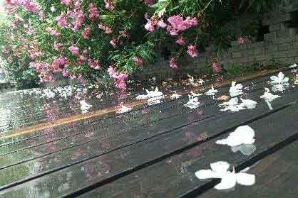 ��ɫ����