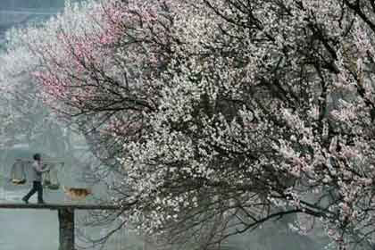 �������