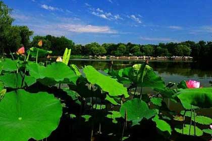 ����ֲ��԰����ǳ���