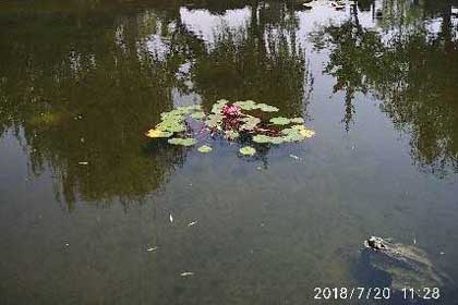 翻越千山万水来看你