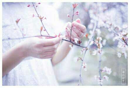 Ը�����¹����