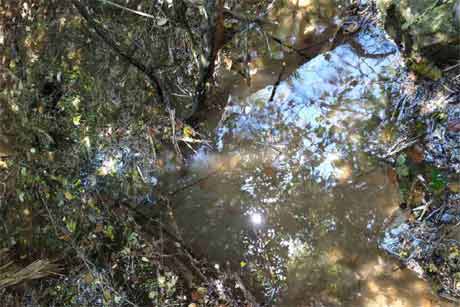 听清泉“咕嘟”,生思绪纷飞