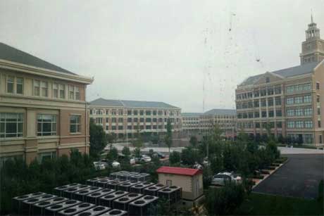 心会陪爱一起走