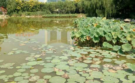 ������������������