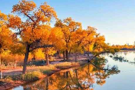 ���꣬�������������㡭��