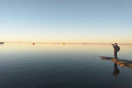 ����Ĵ����