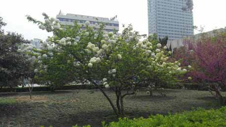 ���Ѹ����һ���