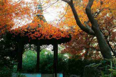 携一缕清风,漫行于生命之路