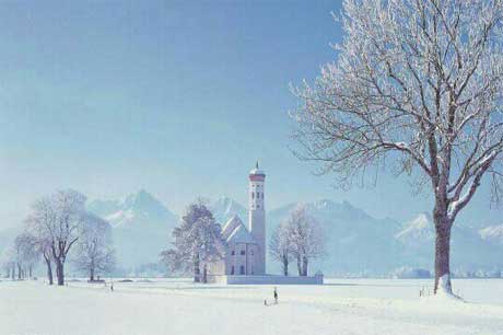 �Ǹ��������Ǹ���