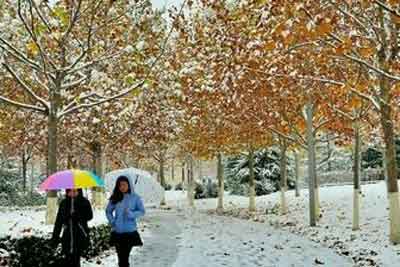 ������������㲻��