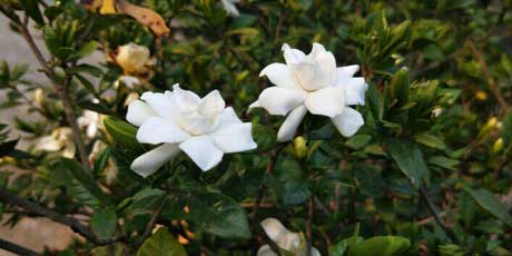 ��ҵ����