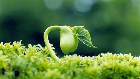 ��ͣ�������ĽŲ�