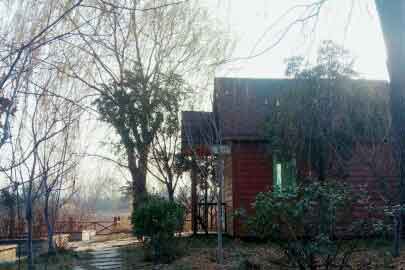 ��һ���鴥�ģ���һ��һ�ݣ�����