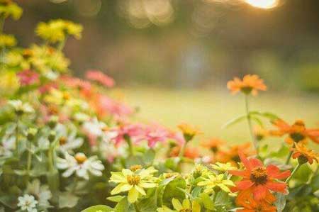 Ը�������㣬ʱ����ů